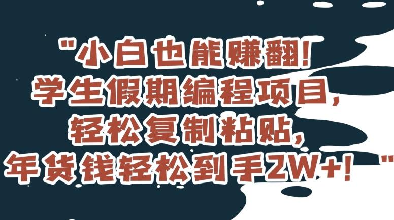 小白也能赚翻！学生假期编程项目，轻松复制粘贴，年货钱轻松到手2W+【揭秘】-米壳知道—知识分享平台