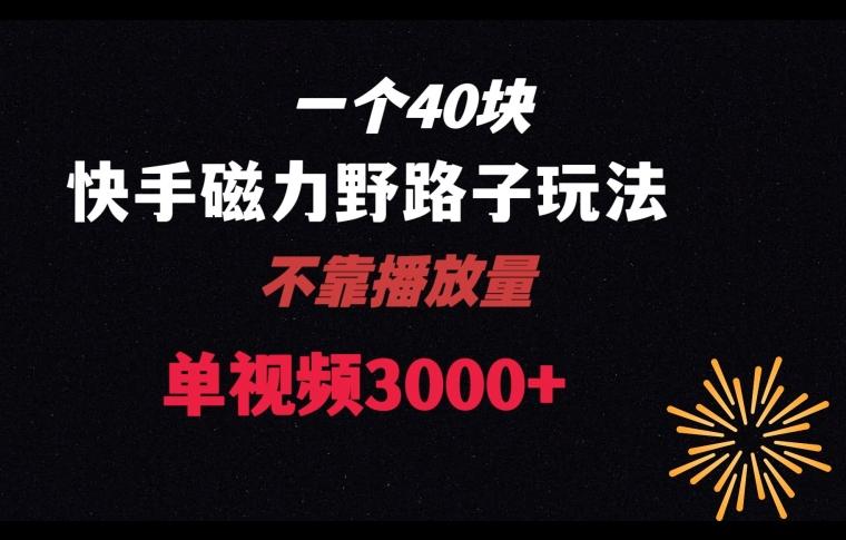 一个40块，快手联合美团磁力新玩法，无视机制野路子玩法，单视频收益4位数【揭秘】-米壳知道—知识分享平台