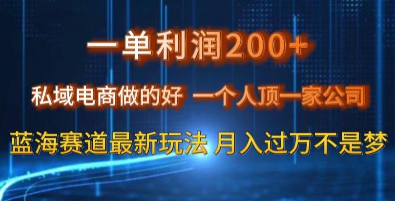 一单利润200私域电商做的好，一个人顶一家公司蓝海赛道最新玩法【揭秘】-米壳知道—知识分享平台