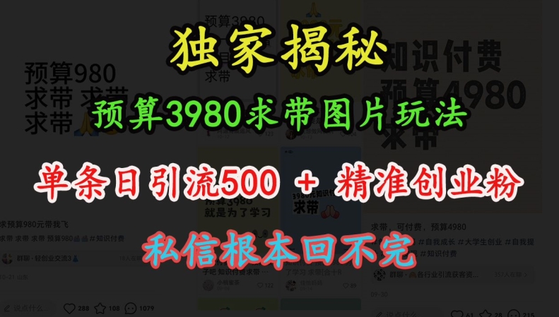 预算3980求带 图片玩法，单条日引流500+精准创业粉，私信根本回不完-米壳知道—知识分享平台