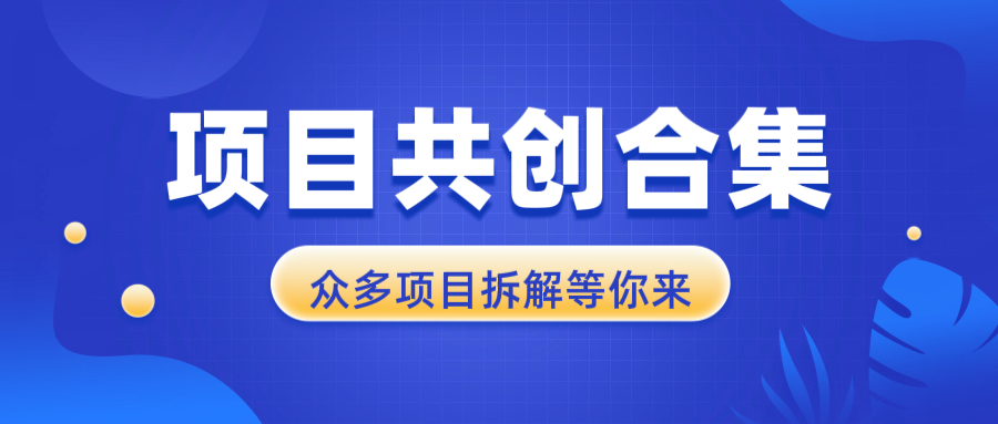 项目共创合集，从0-1全过程拆解，让你迅速找到适合自已的项目-米壳知道—知识分享平台