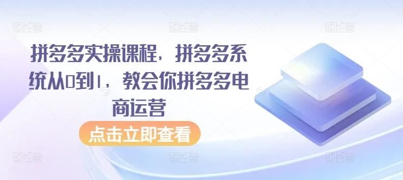 拼多多实操课程，拼多多系统从0到1，教会你拼多多电商运营-米壳知道—知识分享平台