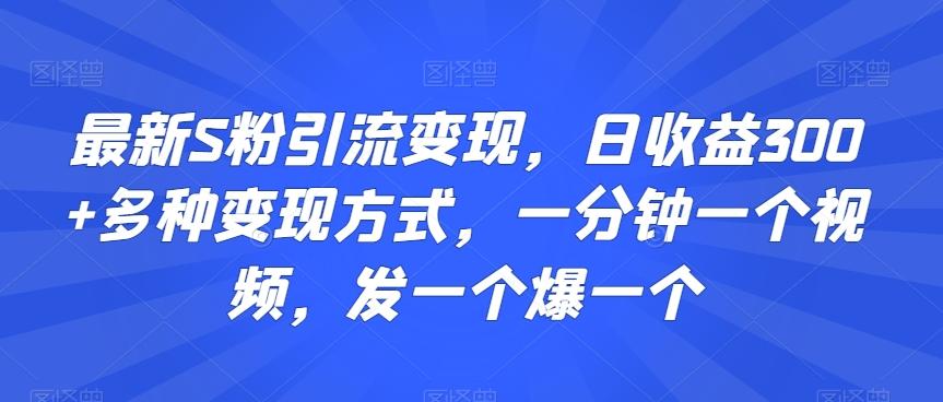 最新S粉引流变现，日收益300+多种变现方式，一分钟一个视频，发一个爆一个【揭秘】-米壳知道—知识分享平台