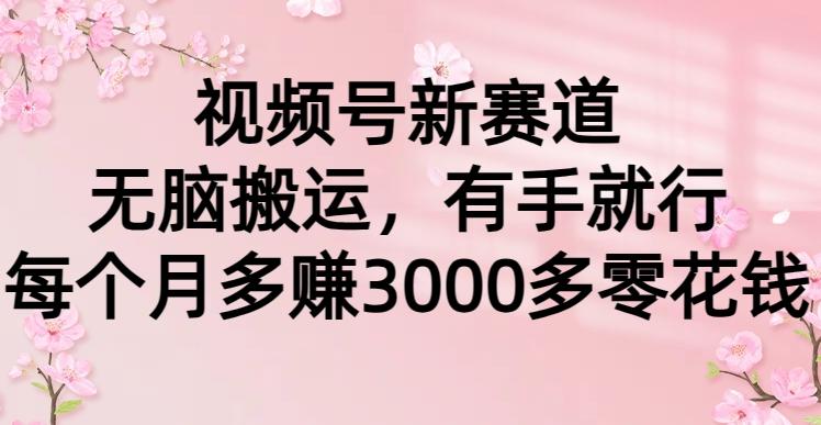 (9278期)视频号新赛道，无脑搬运，有手就行，每个月多赚3000多零花钱-米壳知道—知识分享平台