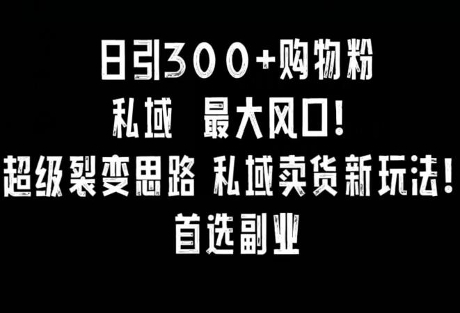 日引300+购物粉，超级裂变思路，私域卖货新玩法，小红书首选副业【揭秘】-米壳知道—知识分享平台