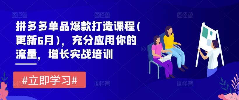 拼多多单品爆款打造课程(更新6月)，充分应用你的流量，增长实战培训-米壳知道—知识分享平台