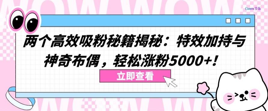 两个高效吸粉秘籍揭秘：特效加持与神奇布偶，轻松涨粉5000+【揭秘】-米壳知道—知识分享平台