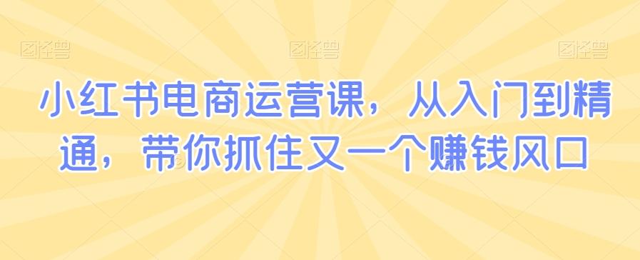 小红书电商运营课，从入门到精通，带你抓住又一个赚钱风口-米壳知道—知识分享平台