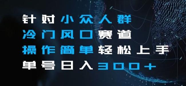 针对小众人群冷门风口赛道，操作简单轻松上手单号日入300+-米壳知道—知识分享平台