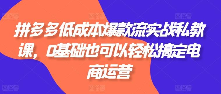 拼多多低成本爆款流实战私教课，0基础也可以轻松搞定电商运营-米壳知道—知识分享平台