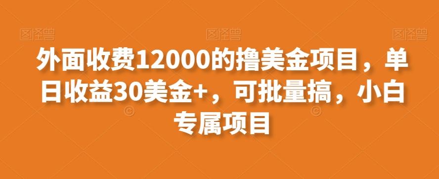 外面收费12000的撸美金项目，单日收益30美金+，可批量搞，小白专属项目-米壳知道—知识分享平台