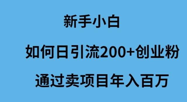 (9668期)新手小白如何日引流200+创业粉通过卖项目年入百万-米壳知道—知识分享平台