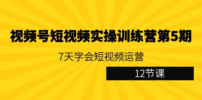 视频号短视频实操训练营第5期：7天学会短视频运营(12节课)-米壳知道—知识分享平台