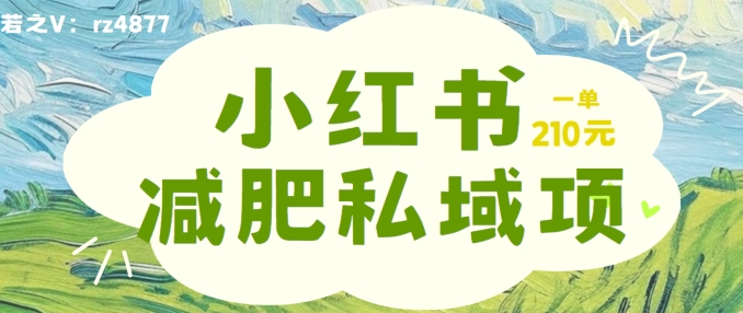 小红书减肥粉，私域变现项目，一单就达210元，小白也能轻松上手【揭秘】-米壳知道—知识分享平台