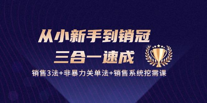 从小新手到销冠 三合一速成：销售3法+非暴力关单法+销售系统挖需课 (27节