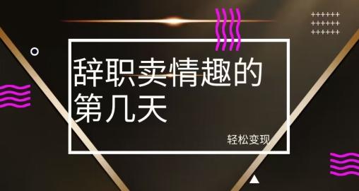 冷门赛道，辞职卖情趣的第几天，超暴力项目-米壳知道—知识分享平台