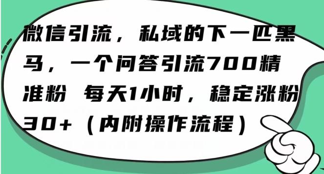 怎么搞精准创业粉？微信新赛道，每天一小时，利用Ai一个问答日引100精准粉-米壳知道—知识分享平台