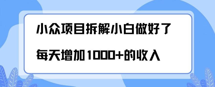 小众项目拆解，小白做好了每天可增加1000多的收入-米壳知道—知识分享平台