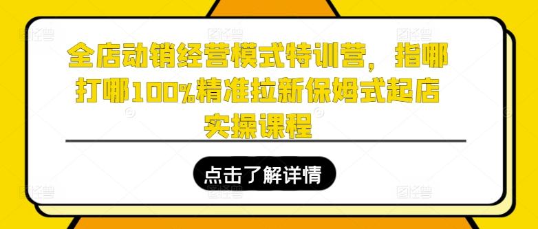 全店动销经营模式特训营，指哪打哪100%精准拉新保姆式起店实操课程-米壳知道—知识分享平台