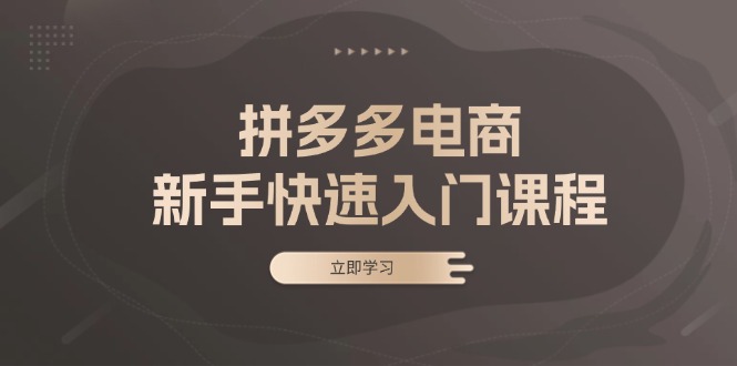 拼多多电商新手快速入门课程：涵盖基础、实战与选款，助力小白轻松上手-米壳知道—知识分享平台