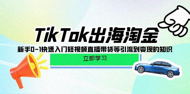 (10035期)TikTok-出海淘金，新手0-1快速入门短视频直播带货等引流到变现的知识-米壳知道—知识分享平台